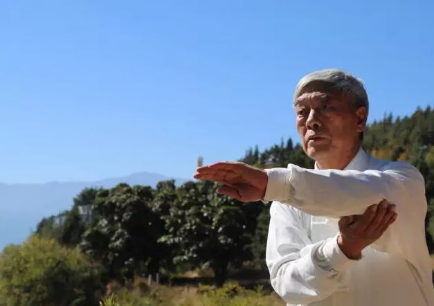 叶底藏花,把阴阳看了,有无限生机 ——太极名家张全亮演示吴式太极拳