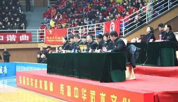 (2016年全国武术太极拳公开赛)