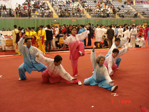 2009年香港第七届国际武术节荣获集体项目银牌