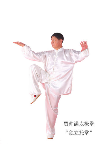 秦皇岛市太极拳研究会现任主席贾仲满先生拳照独立托掌