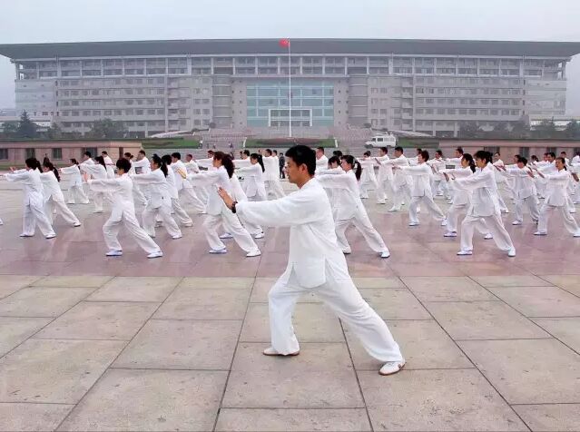 (会长庄海先生率领研究会成员练拳)