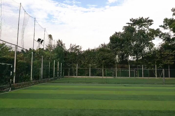 【国强太极院】室外场地