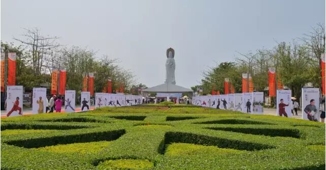 (11/11图)