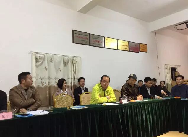 精彩图片