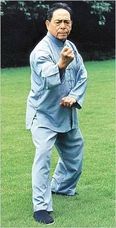 冯志强先生拳照