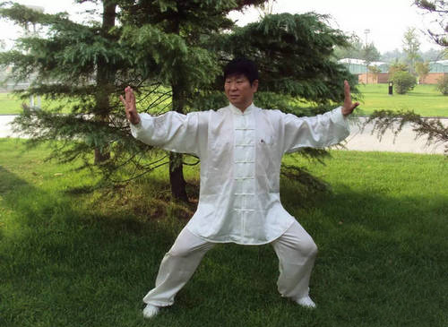 王武泉先生拳照