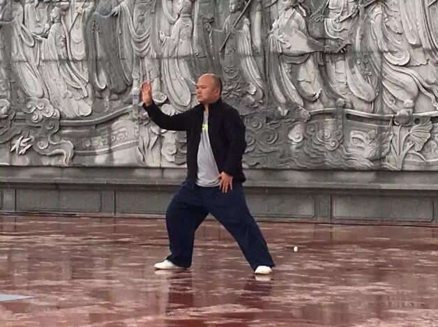 太极拳名家现场精彩演练
