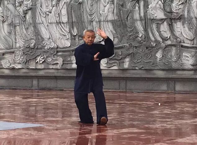 太极拳名家现场精彩演练