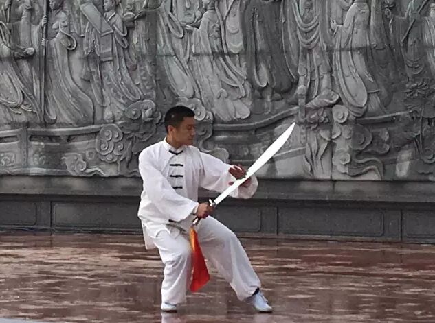 太极拳名家现场精彩演练