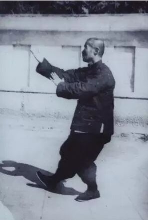 杨禹廷先生拳照