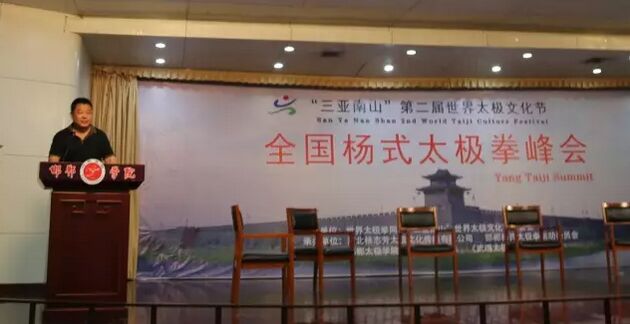 杨式太极拳名家杨志芳参加峰会并致词