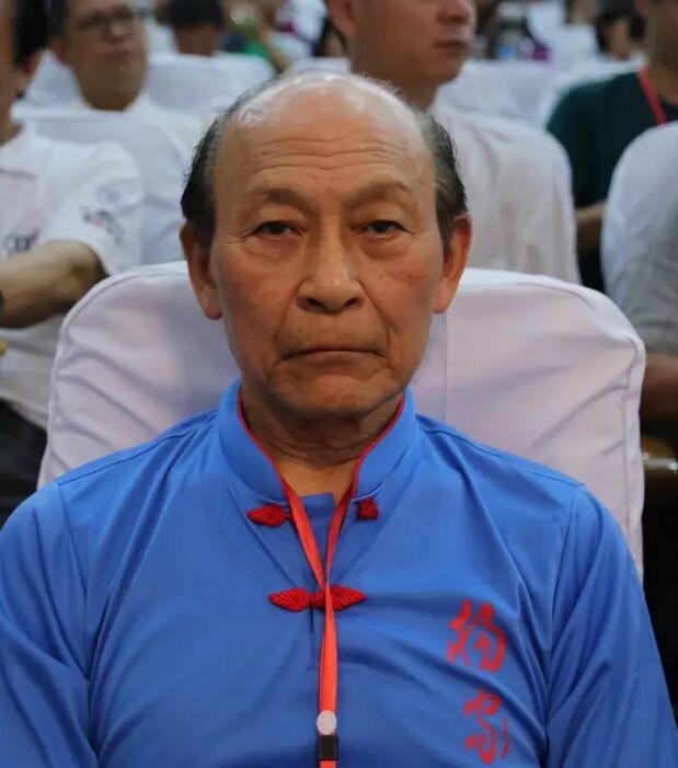 邓时海先生在峰会上做主题演讲