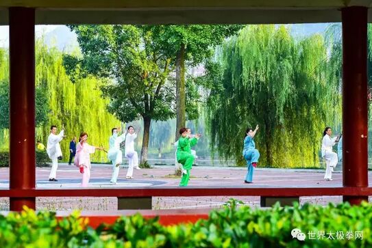 公园练太极
