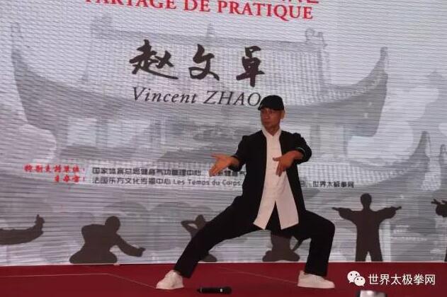 赵文卓先生表演