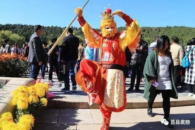 大圣又来凑热闹了