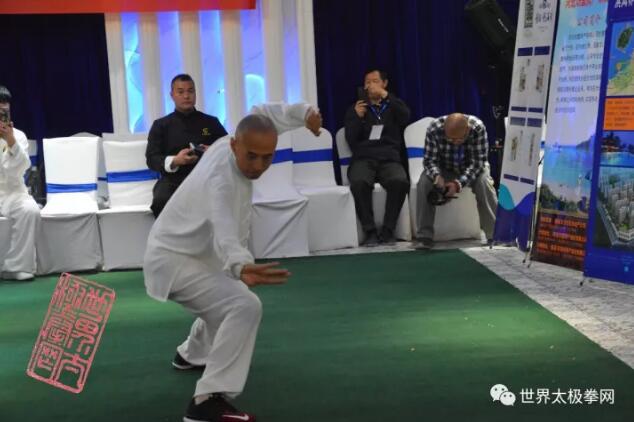 张卫公先生在武术家联谊会上表演
