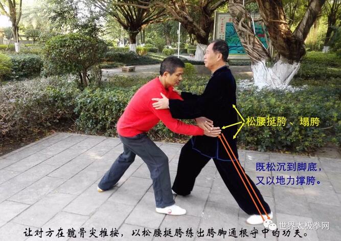 2、挺胯生根
