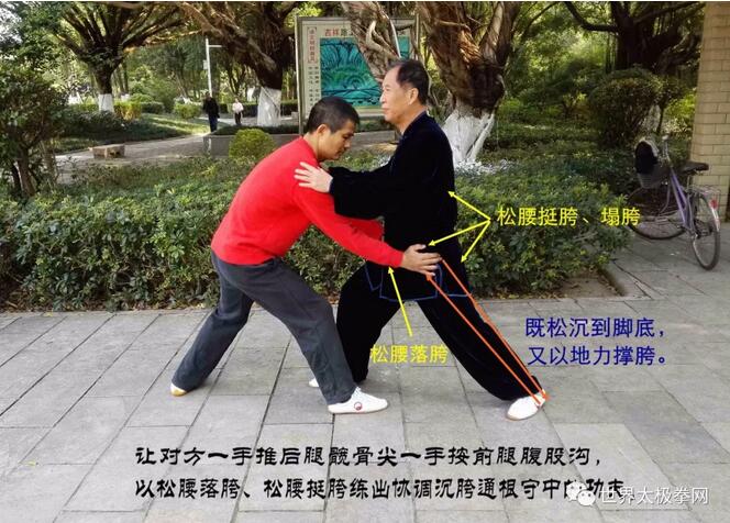 4、沉胯生根