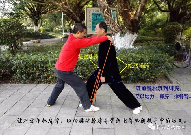 5、松沉撑脊