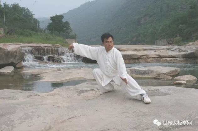 我的恩师张世昌先生拳照