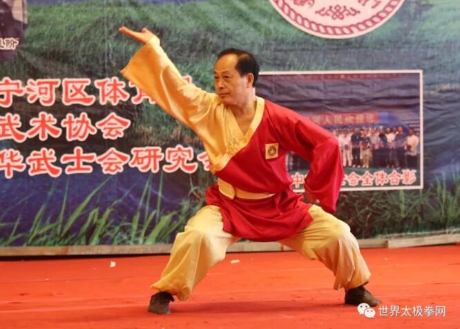 名家演武
