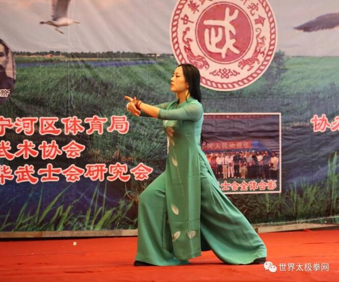名家演武