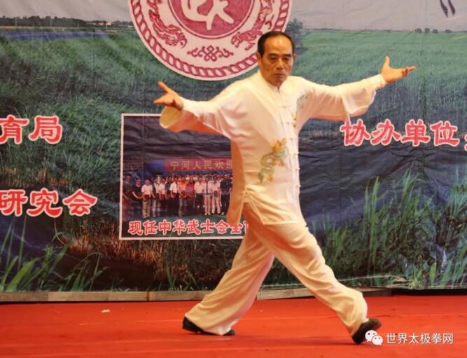 名家演武
