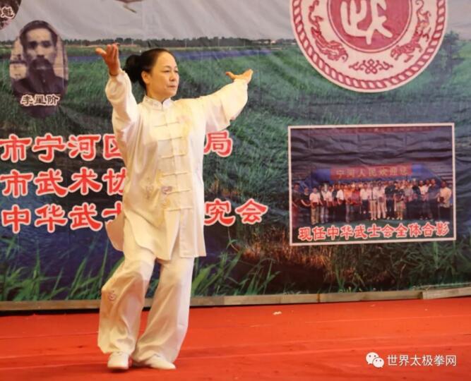 名家演武