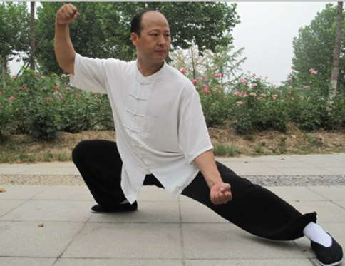 杨合发拳式之一