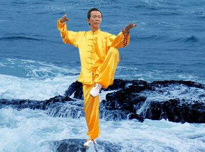 燕跟来拳式之一