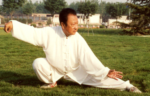赵浩业拳式