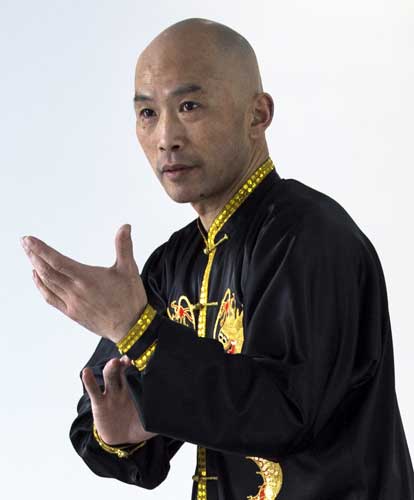 沈宝发拳式之一