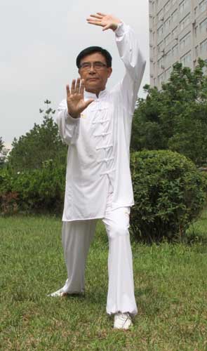 张世昌拳式