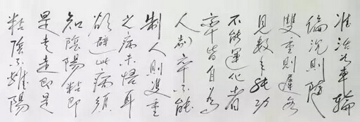 昌老书写了王宗岳《太极拳论》6