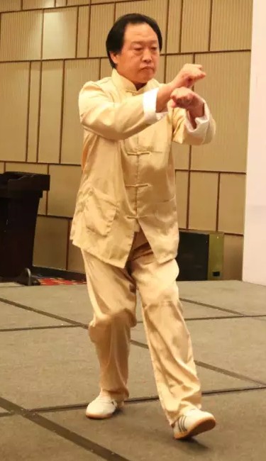 孙氏武学传人胡俭雷演示太极