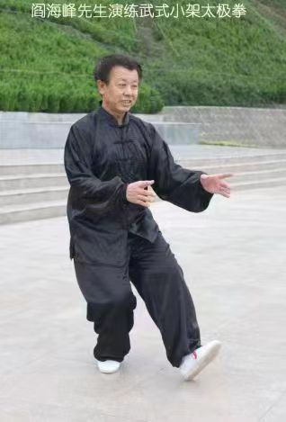 阎海峰先生演练郝传武式太极拳
